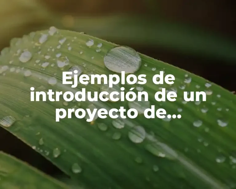 Ejemplos de introducción de un proyecto de investigación en educación