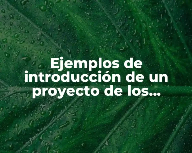 Ejemplos de introducción de un proyecto de los derechos humanos y Significado