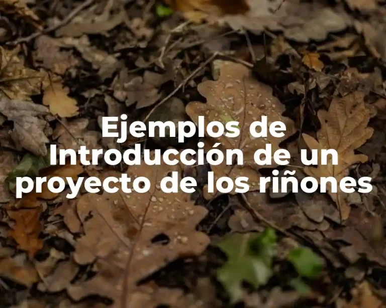 Ejemplos de Introducción de un proyecto de los riñones