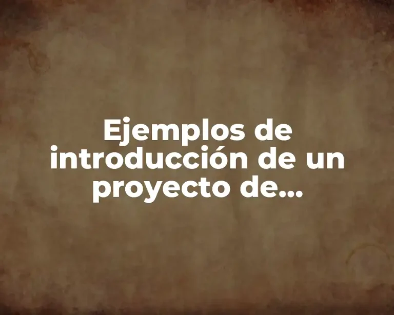 Ejemplos de introducción de un proyecto de magnetismo