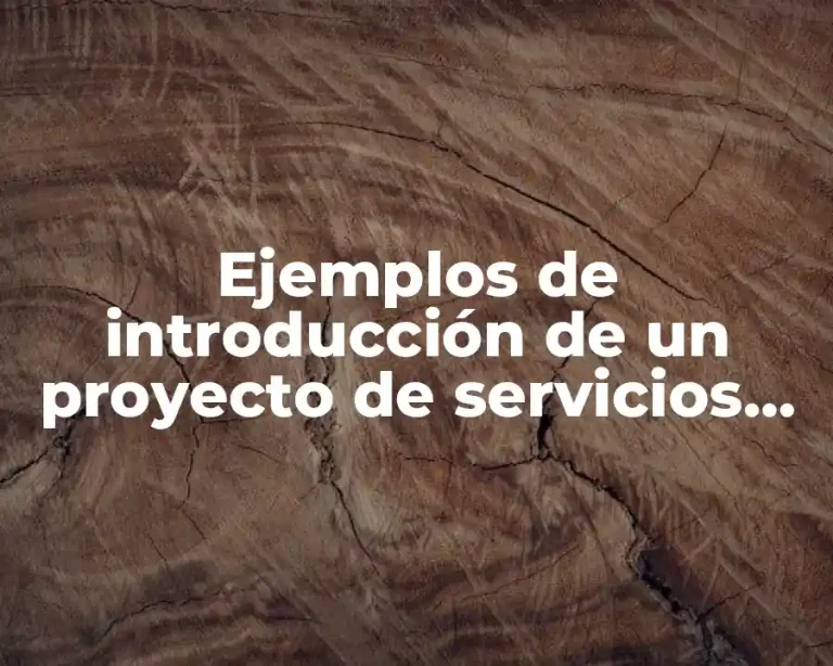 Ejemplos de introducción de un proyecto de servicios sanitarios