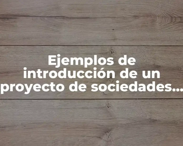 Ejemplos de introducción de un proyecto de sociedades mercantiles