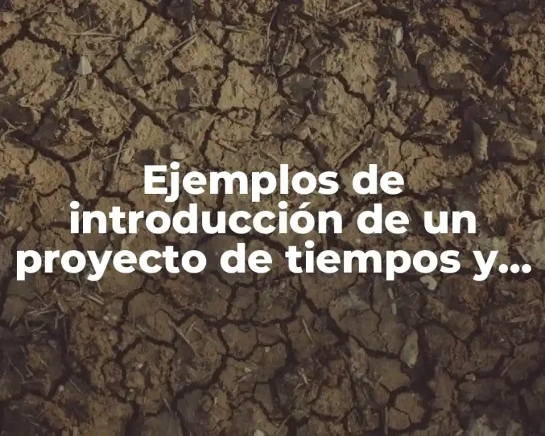 Ejemplos de introducción de un proyecto de tiempos y medios