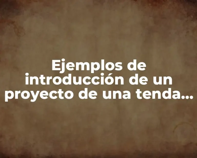 Ejemplos de introducción de un proyecto de una tenda online y Significado