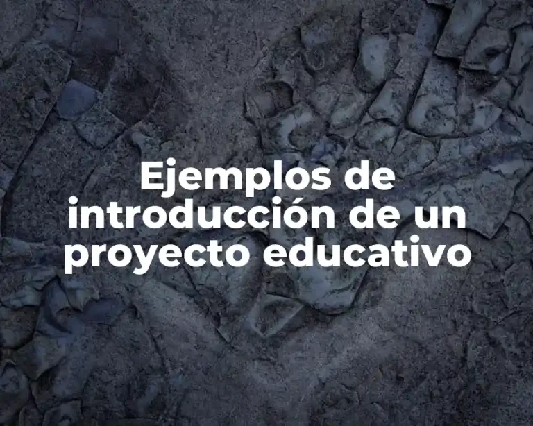 Ejemplos de introducción de un proyecto educativo