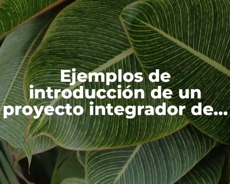 Ejemplos de introducción de un proyecto integrador de productos nuevos
