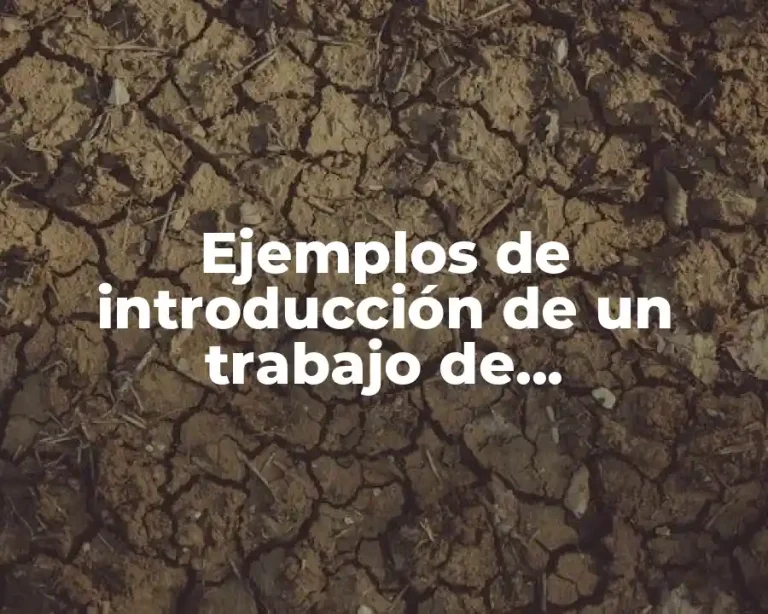 Ejemplos de introducción de un trabajo de deforestación