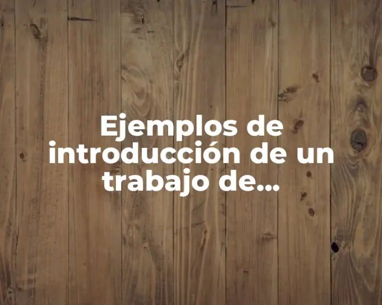 Ejemplos de introducción de un trabajo de investigación