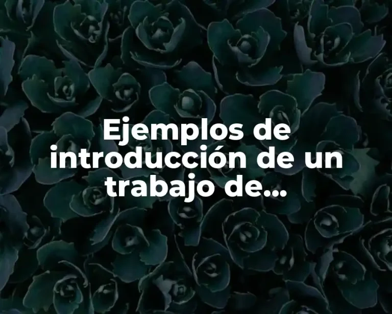 Ejemplos de introducción de un trabajo de investigación de enfermería
