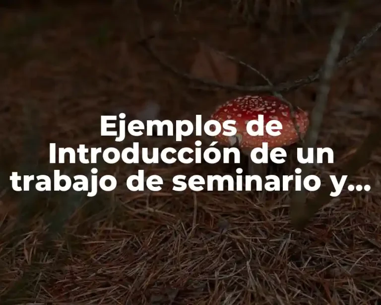 Ejemplos de Introducción de un trabajo de seminario y Significado