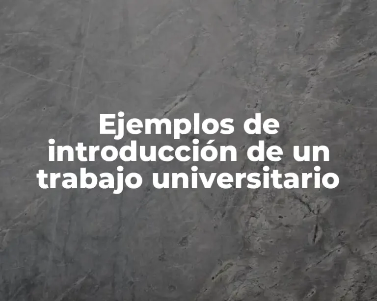 Ejemplos de introducción de un trabajo universitario
