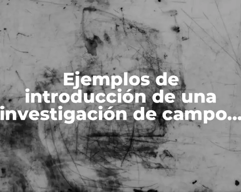 Ejemplos de introducción de una investigación de campo en educación