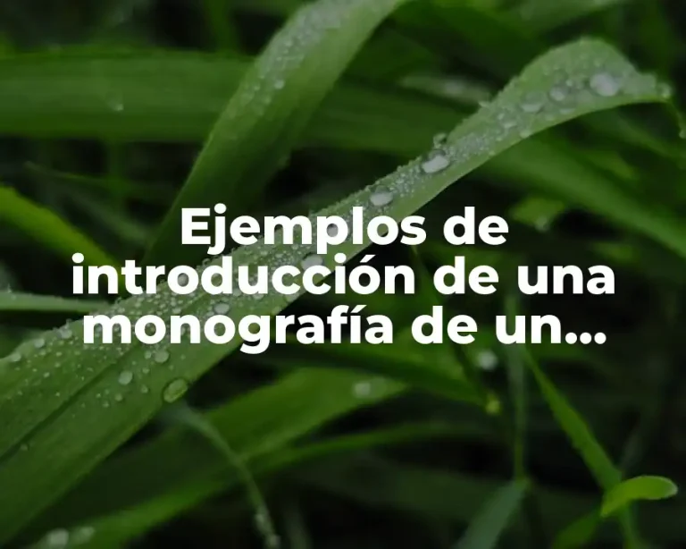 Ejemplos de introducción de una monografía de un municipio