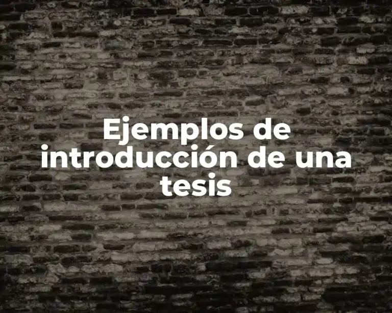 Ejemplos de introducción de una tesis