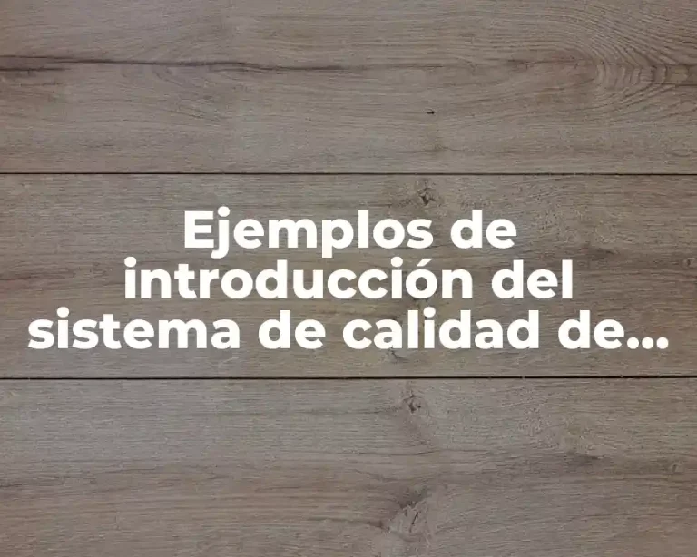 Ejemplos de introducción del sistema de calidad de servicios generales