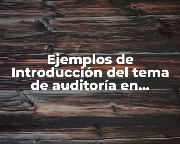 Ejemplos de Introducción del tema de auditoría en Informática