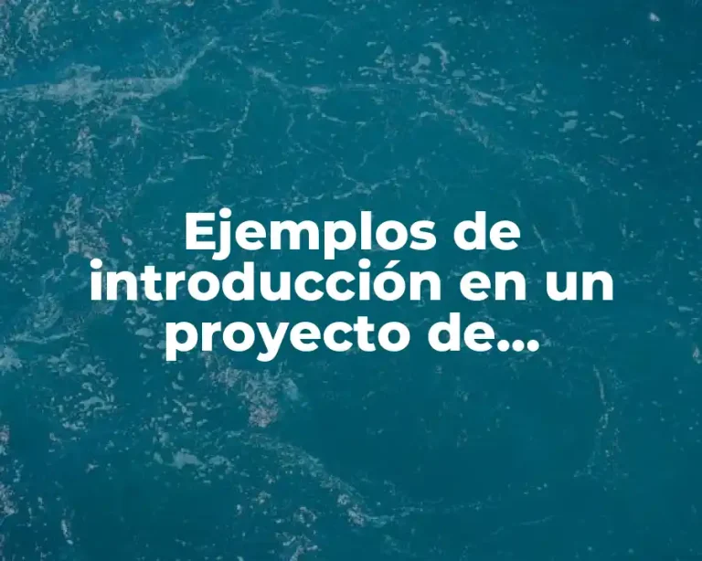 Ejemplos de introducción en un proyecto de investigación