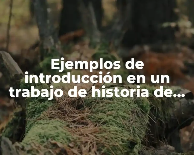 Ejemplos de introducción en un trabajo de historia de México