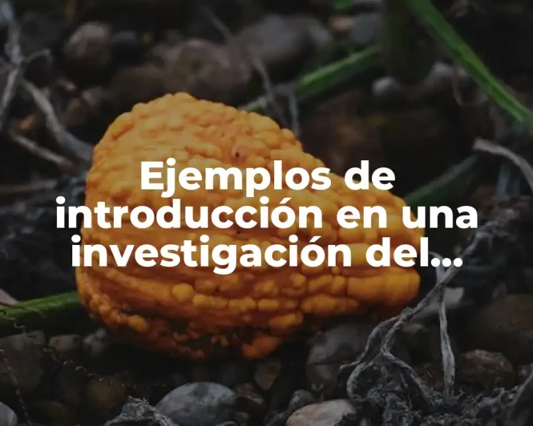 Ejemplos de introducción en una investigación del antiguo Egipto