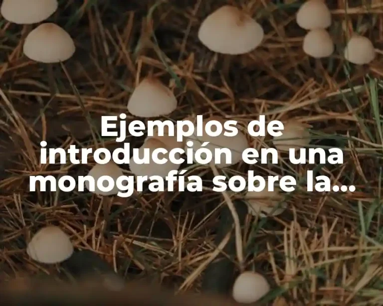 Ejemplos de introducción en una monografía sobre la preparatoria