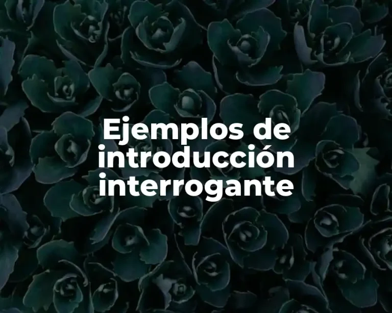 Ejemplos de introducción interrogante