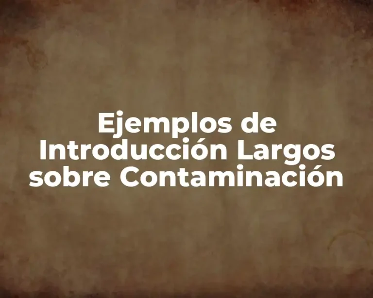 Ejemplos de Introducción Largos sobre Contaminación