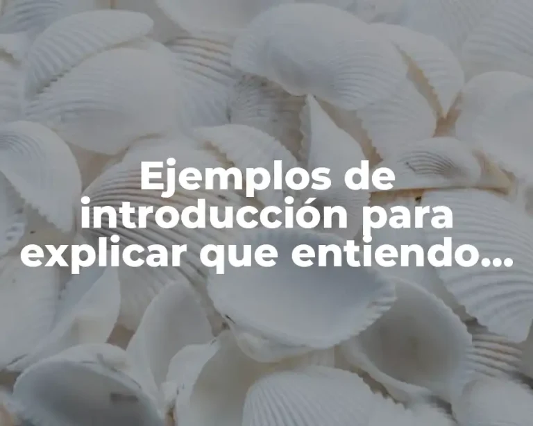 Ejemplos de introducción para explicar que entiendo de un libro