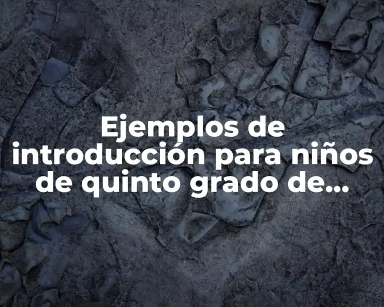 Ejemplos de introducción para niños de quinto grado de primaria