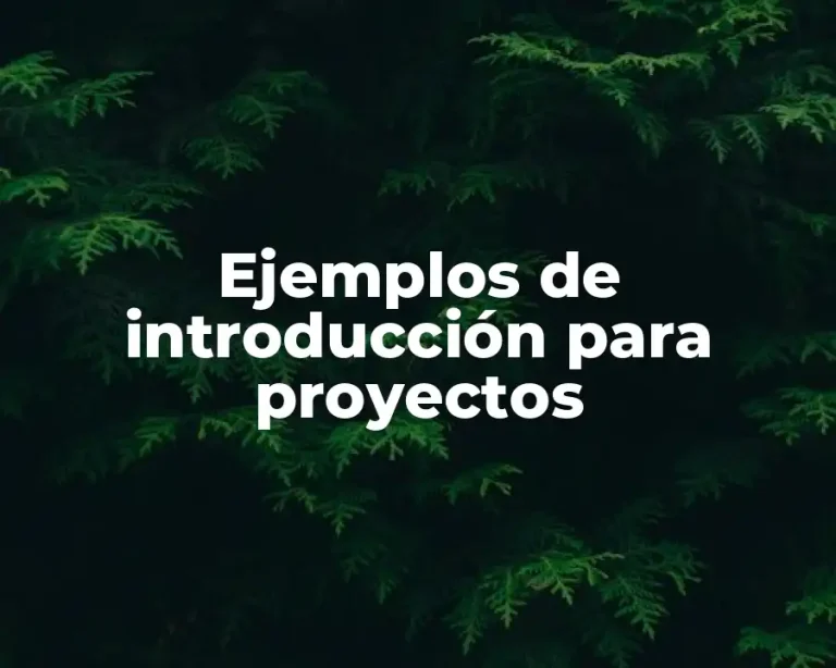 Ejemplos de introducción para proyectos