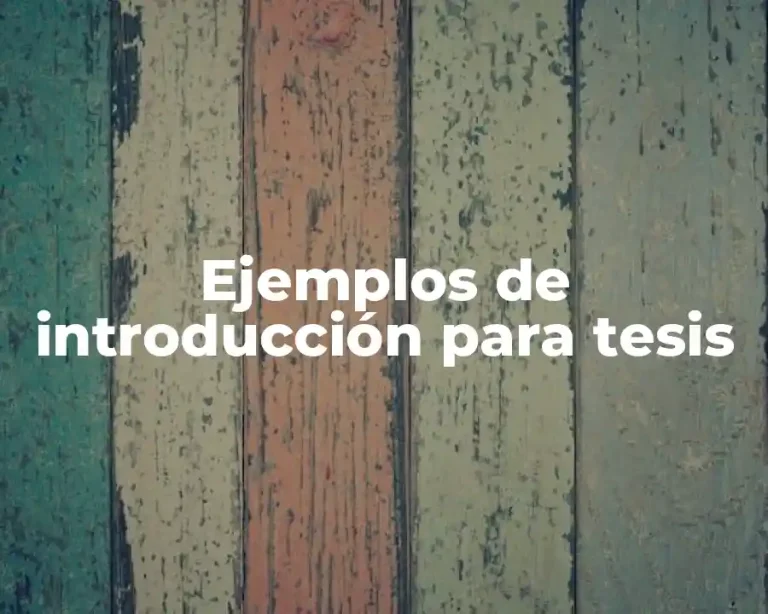 Ejemplos de introducción para tesis