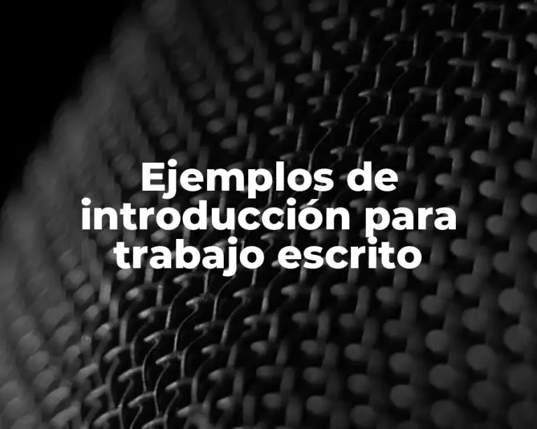 Ejemplos de introducción para trabajo escrito