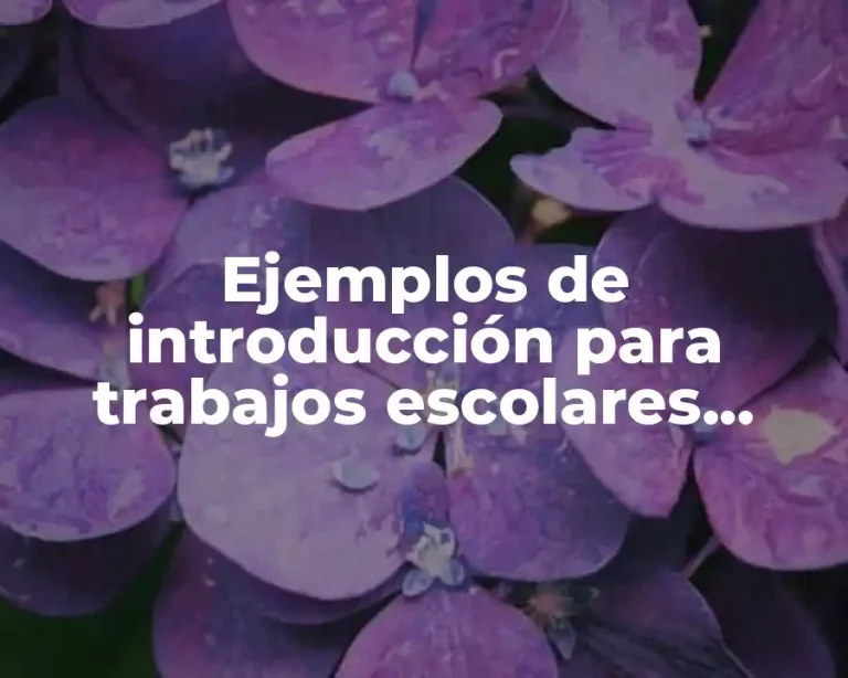 Ejemplos de introducción para trabajos escolares sobre el desarrollo