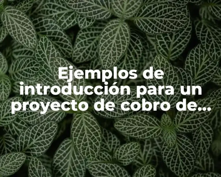 Ejemplos de introducción para un proyecto de cobro de intereses y Significado