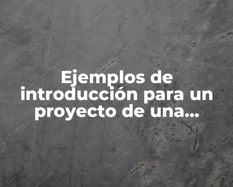 Ejemplos de introducción para un proyecto de una empresa