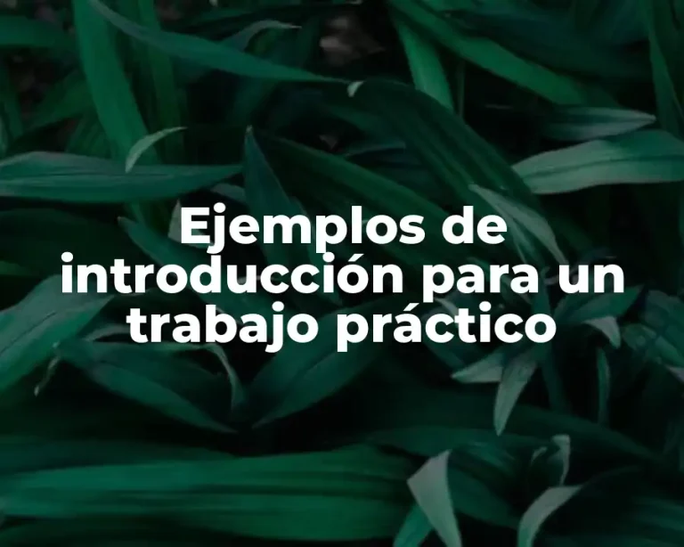 Ejemplos de introducción para un trabajo práctico