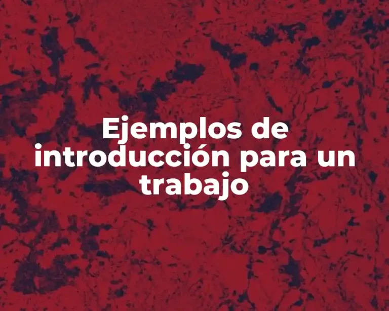 Ejemplos de introducción para un trabajo
