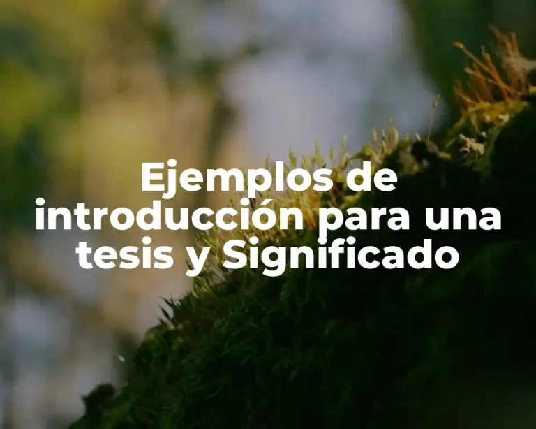 Ejemplos de introducción para una tesis y Significado