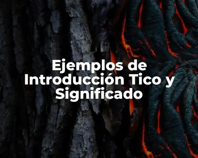 Ejemplos de Introducción Tico y Significado