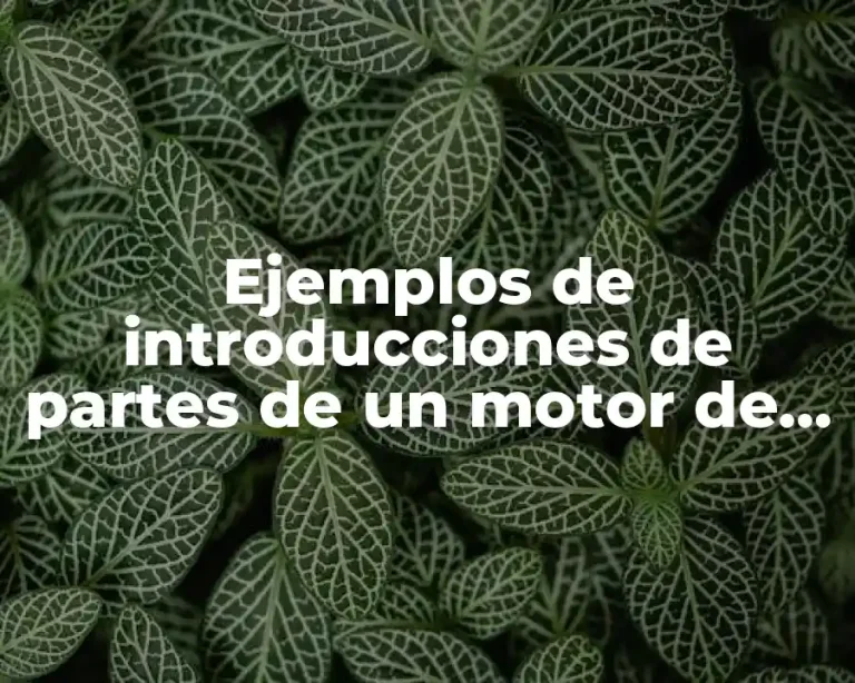 Ejemplos de introducciones de partes de un motor de auto