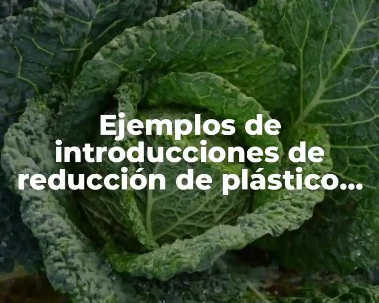 Ejemplos de introducciones de reducción de plástico en botellas