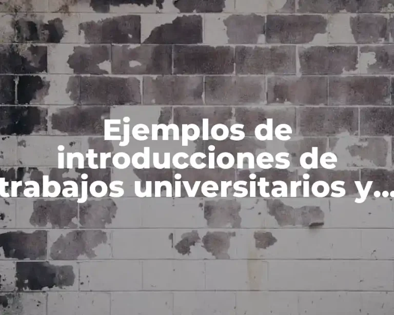 Ejemplos de introducciones de trabajos universitarios y Significado
