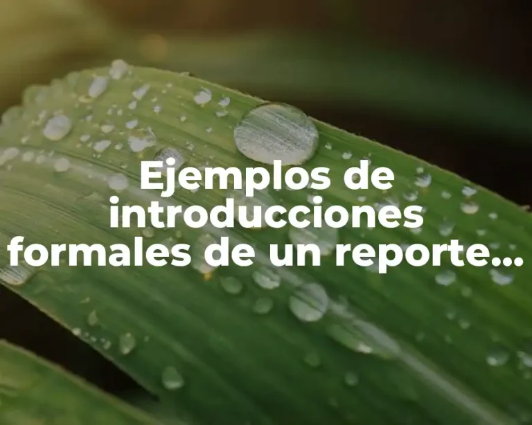 Ejemplos de introducciones formales de un reporte de una empresa