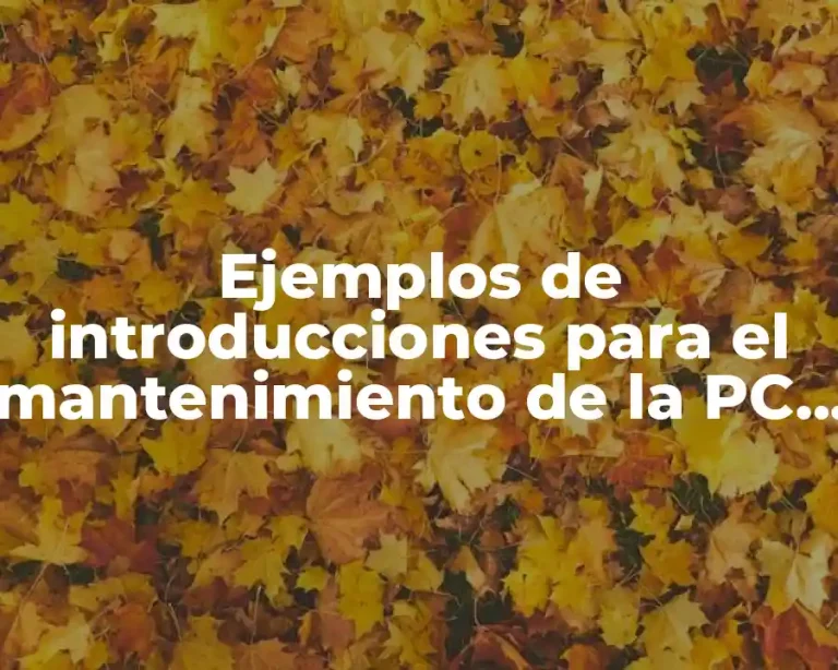 Ejemplos de introducciones para el mantenimiento de la PC y Significado