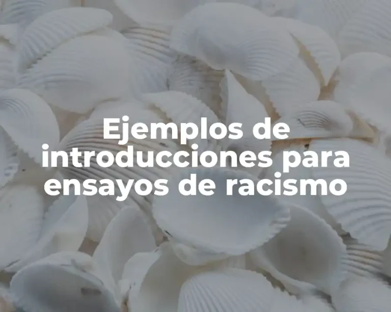 Ejemplos de introducciones para ensayos de racismo