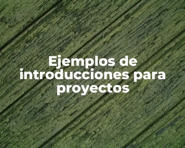 Ejemplos de introducciones para proyectos