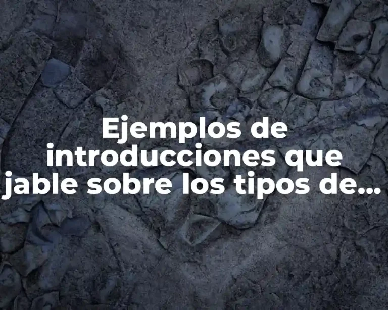 Ejemplos de introducciones que jable sobre los tipos de salidos