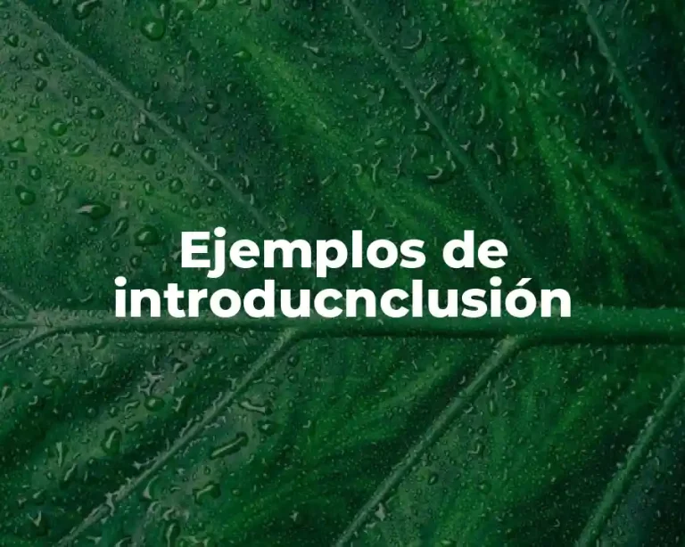 Ejemplos de introducnclusión