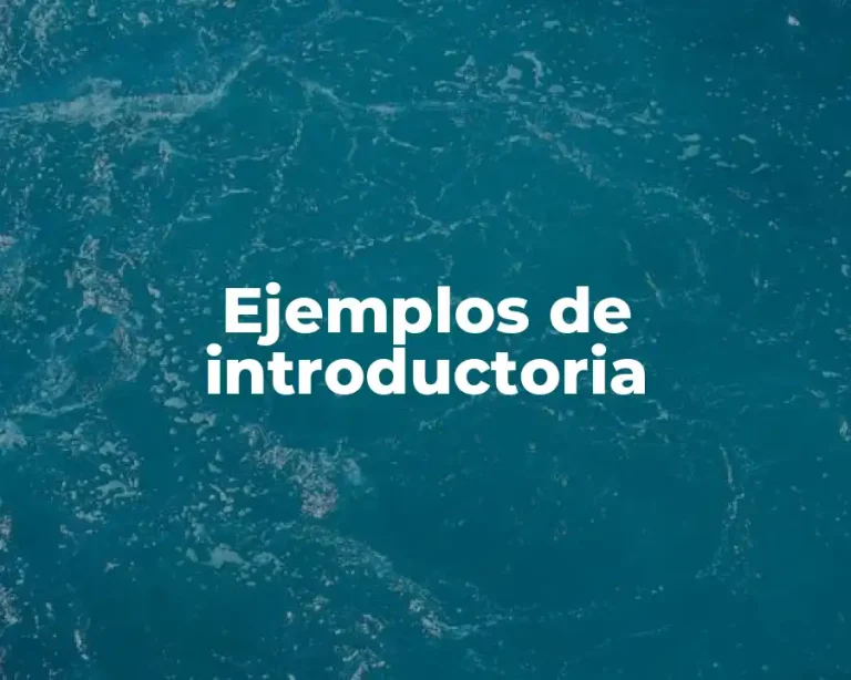 Ejemplos de introductoria