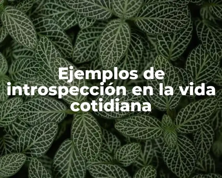 Ejemplos de introspección en la vida cotidiana