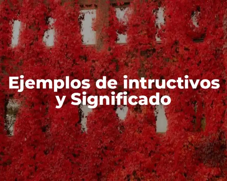 Ejemplos de intructivos y Significado